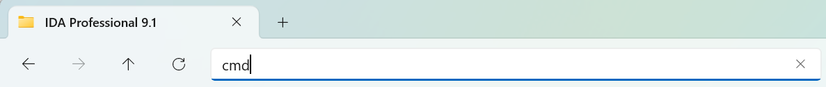 配置IDA Professional 9.1完全体保姆级教程图1.png
