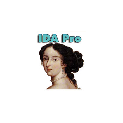 配置IDA Professional 9.1完全体保姆级教程